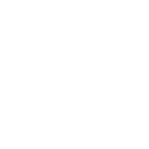 AviatriX logo.