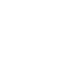NetEnt logo.
