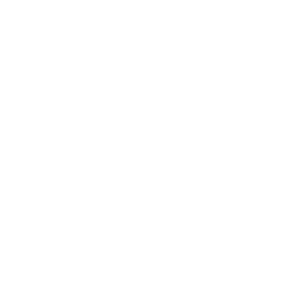 Playtech logo.