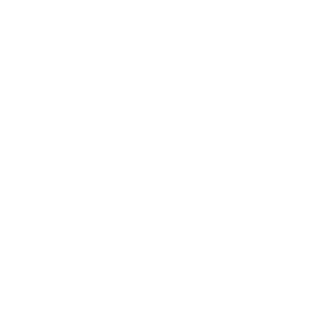 Stormcraft Studios logo.