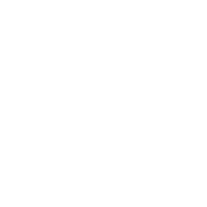 Wazdan logo.